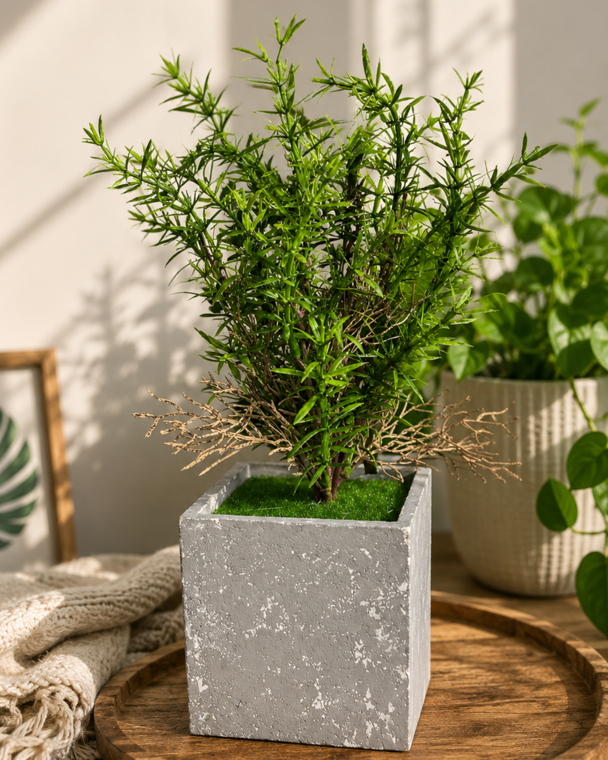 Artificial decorative green shrub with pot for indoor home décor in Mauritius