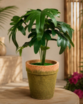 Artificial decorative Monstera plant with pot for indoor home décor in Mauritius