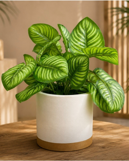 Artificial decorative Wild Meadow plant with square pot for home décor in Mauritius